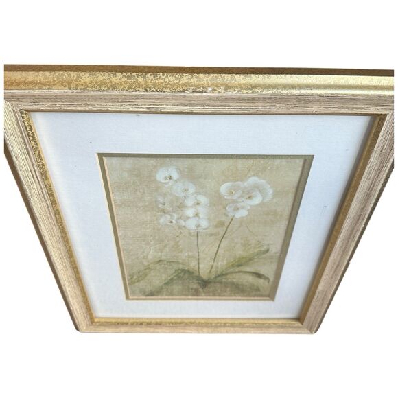 Framed Botanical Wall Art Prints Set of 2 Gold Wood Frame Neutral Floral Vintage - Picture 14 of 15